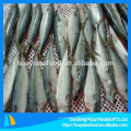 Pacific Mackerel 200-300g Nueva llegada